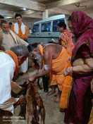 गोपाष्टमी पर पूजीं गायें, गोशाला पहुंचे श्रद्धालु