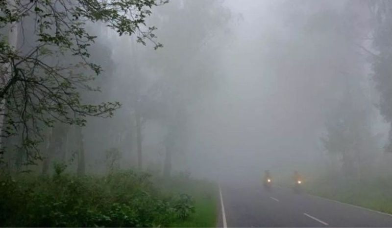 Weather Update New western disturbance moving towards Himalayas IMD 5 Days Weather Forecast