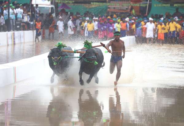 bengaluru_kambala_06.jpg