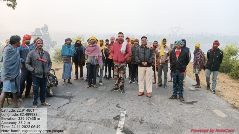 खूंटे से बंधे थे 16 गाय-बैल, हाथियों के झुंड ने मचाया कोहराम, 12 की ले ली जान