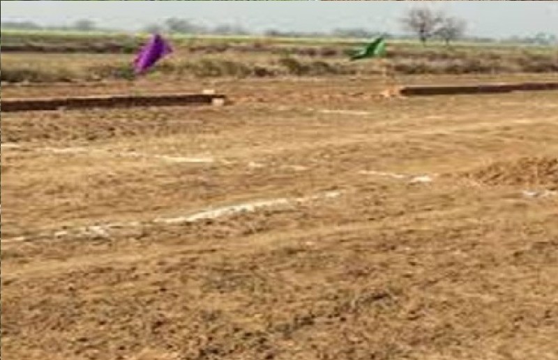 320 पेड़ काटकर और 92 किसानों की जमीन में बन रहा सड़क