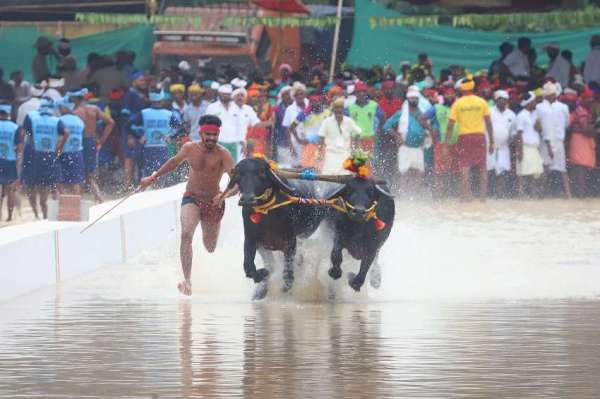 Kambala organized for the first time in Bengaluru