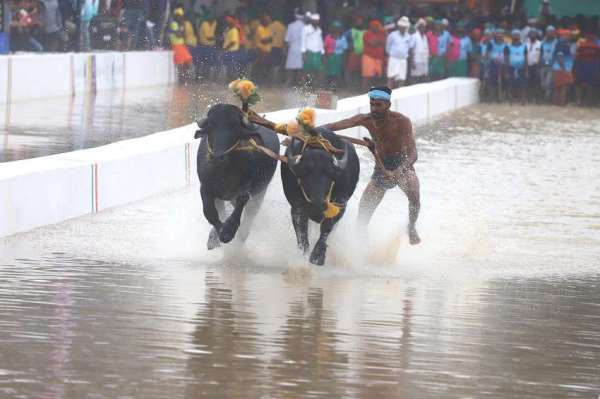 Kambala organized for the first time in Bengaluru