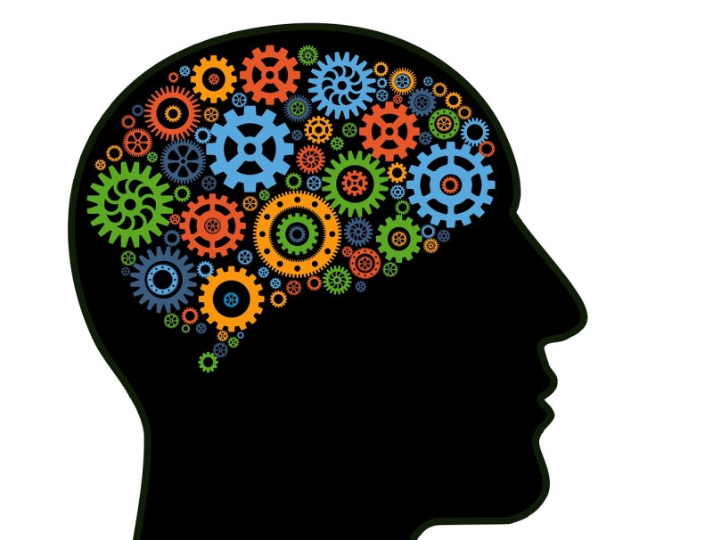 जलवायु परिवर्तन की घटनाएं ब्रेन की संरचना, कार्य और समग्र स्वास्थ्य को बदल सकती हैं