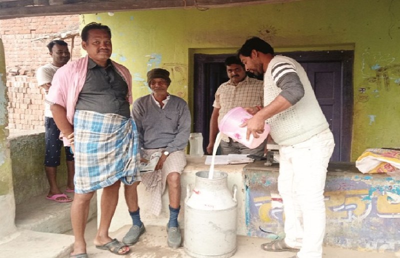 दूध प्रति लीटर 50 से 60 रुपए, कनकी के दाने महंगे, दूध उत्पादक हो रहे हैं हताश