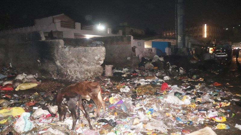 दो तरह के ही होंगे सफाई ठेके, डिपो से भी उठाना होगा कचरा