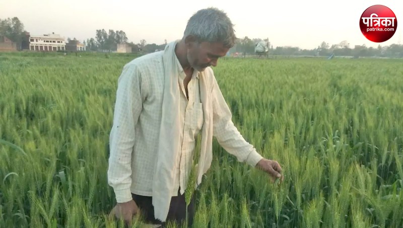 Moradabad Today News