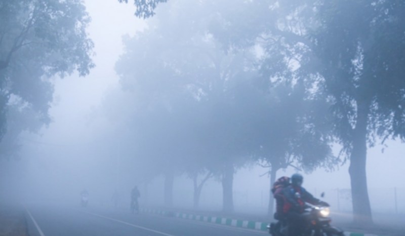 यह तस्वीर सोशल मीडिया से ली गई है