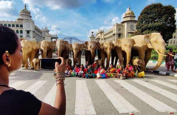elephants sculptures made from Lantana Camara