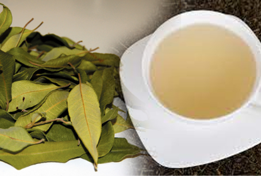 bay-leaf-tea-benefits.jpg