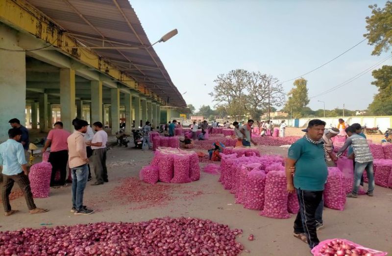 Onion price hike madhya pradesh latest news