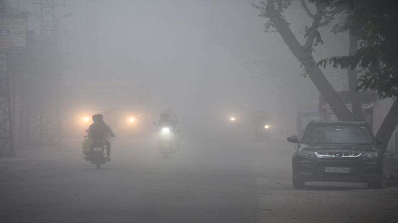 Drops of dew frozen on crops in Bhilwara