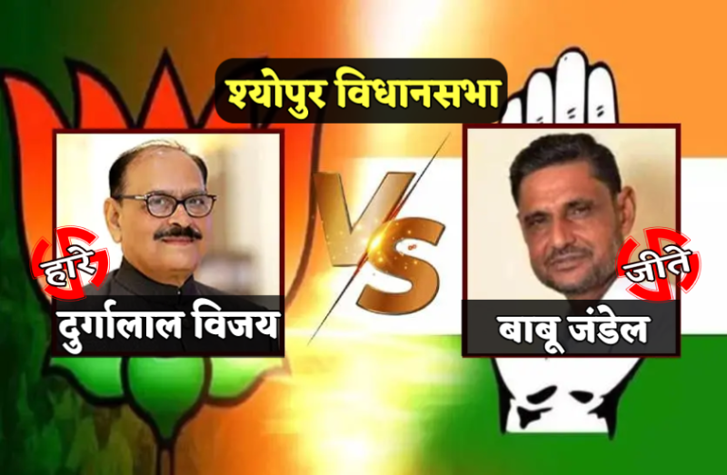 MP Election Result Live