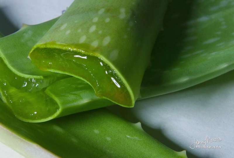 aloe-vera-gel-for-skin.jpg