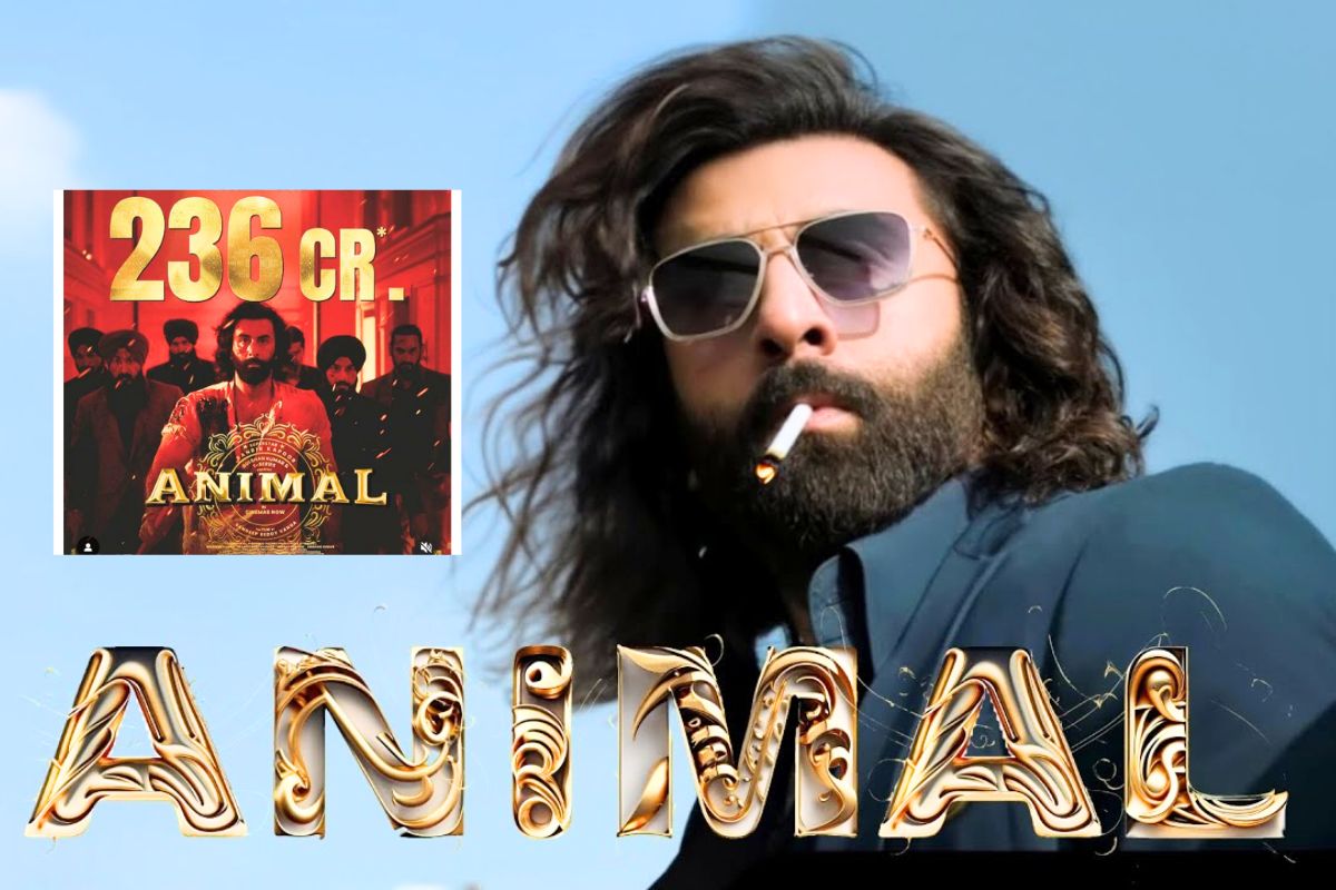 animal_box_office_collection_day_3_sunday_tsunami_ranbir_kapoor_movie_earn_200_crores_enormous.jpg