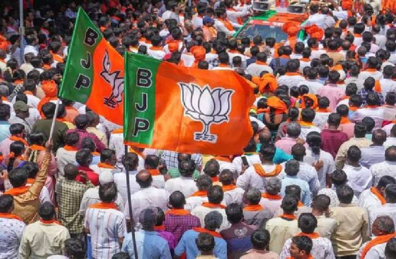 bjp_election_result_analysis_bjp_victory_factors_in_mp.jpg