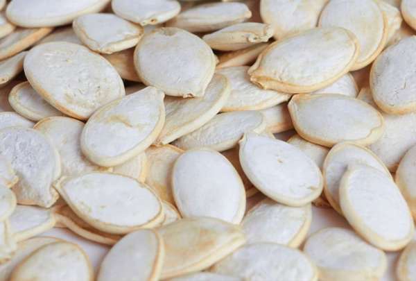 pumpkin-seeds.jpg