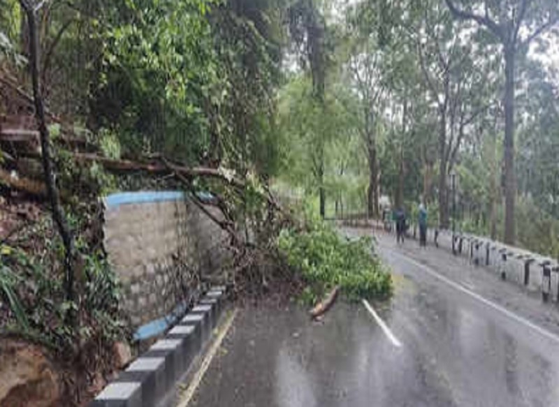 चक्रवाती तूफान मिचौंग : भारी बारिश के कारण आंध्र प्रदेश के कुछ हिस्सों में बाढ़; बिजली आपूर्ति, परिवहन सेवाएं प्रभावित