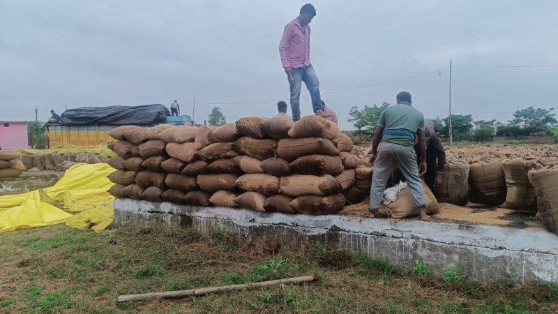 बेमौसम बारिश में भीगा करोड़ों का धान, खरीदी हुई बंद