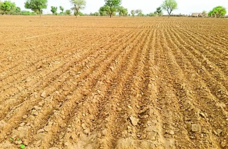 केमिकल तत्व मिट्टी में घुलते जा रहे