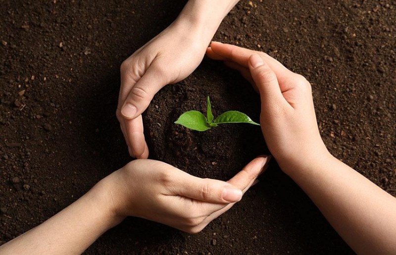 world_soil_day_2023.jpg