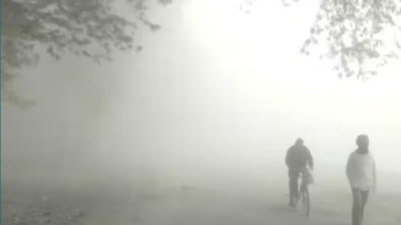 यह तस्वीर सोशल मीडिया से ली गई है