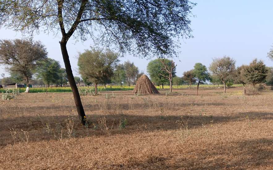 घटते जलस्तर से खेत हो रहे वीरान, किसान हो रहे बेरोजगार