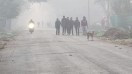 प्रदेश में आज भी कई जिलों में कोहरा
