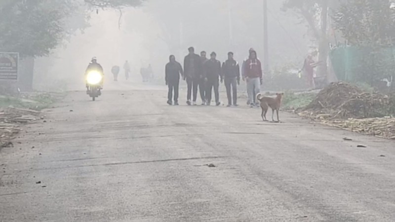 प्रदेश में आज भी कई जिलों में कोहरा