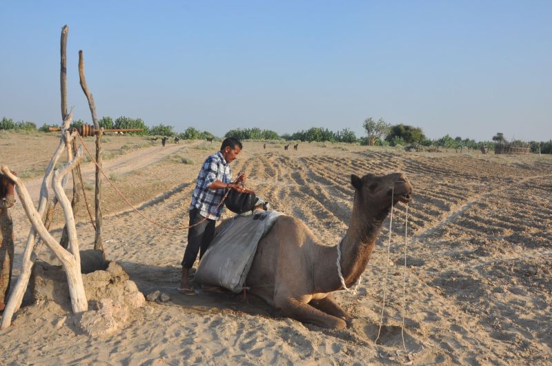 माननीय... पानी आंखों में रहे