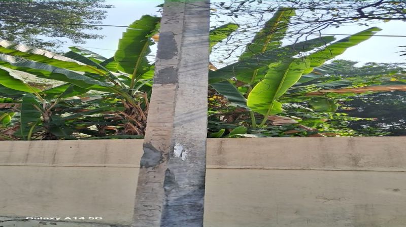 रीको कॉलोनी में चोरी के खंबे ठेकेदार ने कहां से लगाए