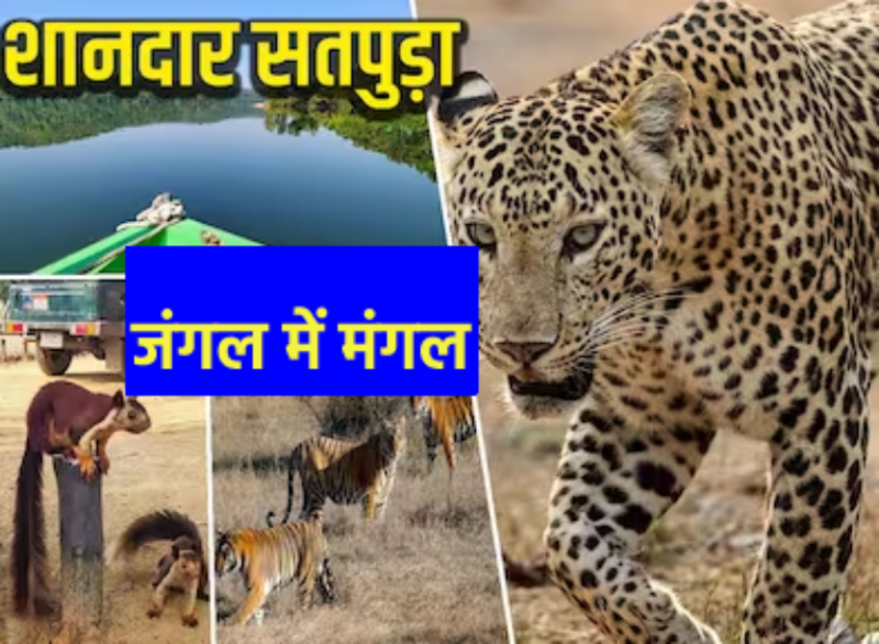 satpura2.png