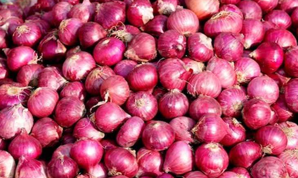 onion_price6666.jpg