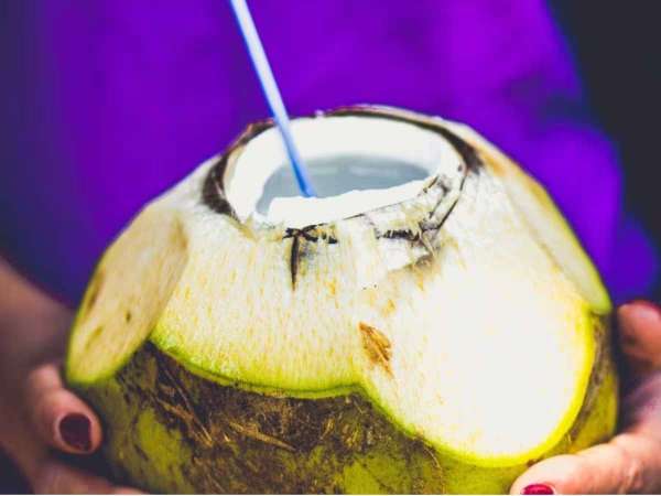 नारियल पानी के नियमित सेवन से पाचन क्रिया भी सुधरती है