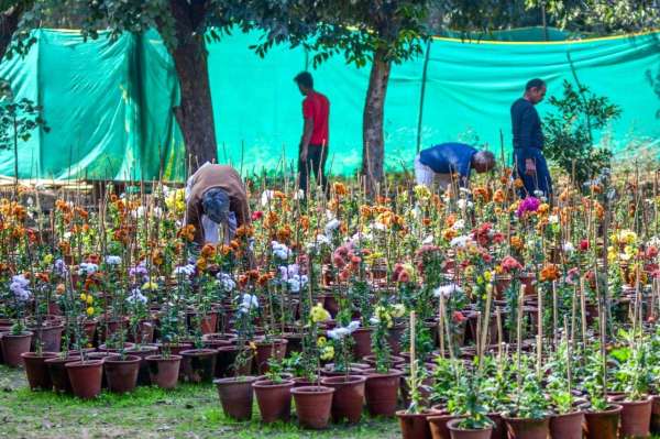 rajasthan university exibition
