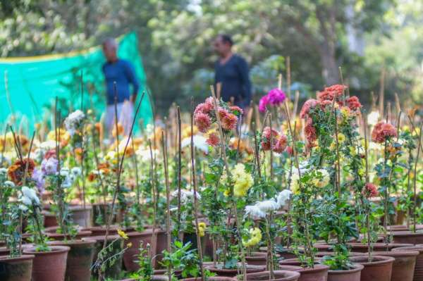 rajasthan university exibition