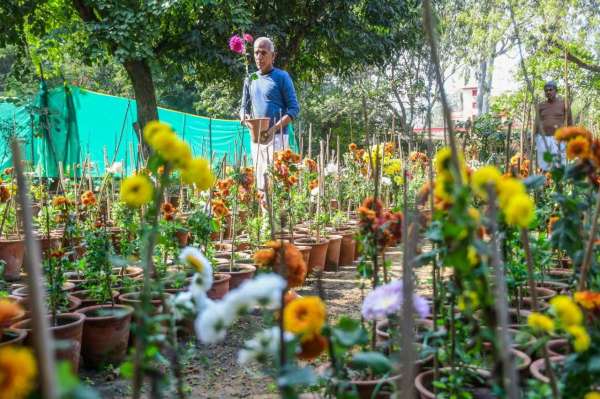 rajasthan university exibition