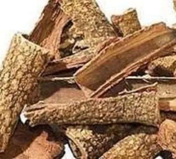 neem-bark.jpg