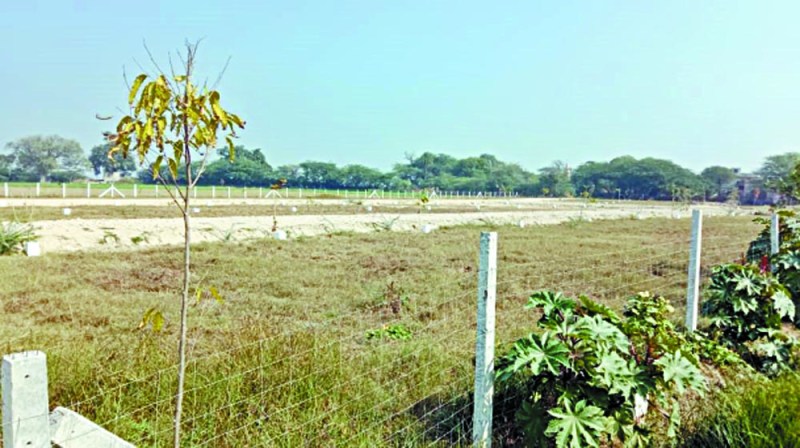 अवैध कॉलोनियों की तहसीलदार को भेजी सूची, कोलोनाइजरों पर कार्रवाई की तैयारी, प्रशासन में मची हलचल