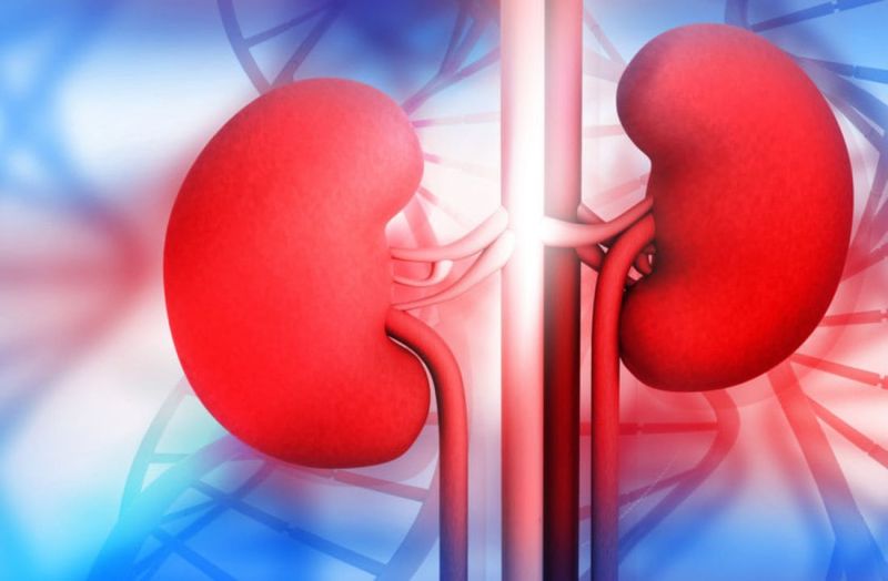 ऑर्गन वेटिंग : 581 को किडनी, 72 को चाहिए दिल