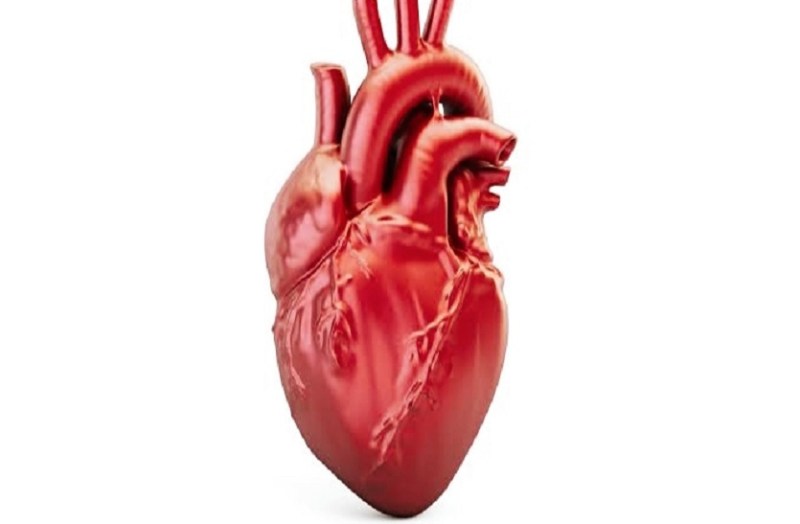 एशिया, यूरोप और अफ्रीकी देशों में हृदय संबंधी बीमारियों के कारण मौत का खतरा सबसे ज्यादा