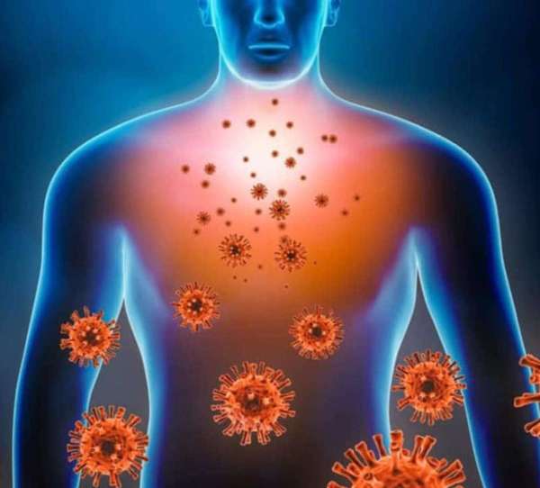 5 amazing benefits of boiled potatoes that you probably didn't know