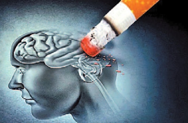 धूम्रपान से सिकुड़ता है दिमाग, दोबारा मूल हालत में नहीं लौटता