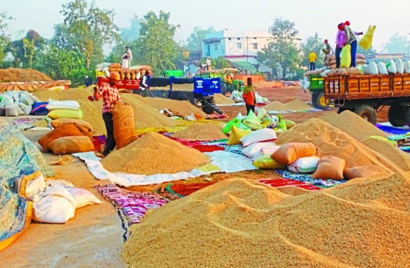 धान खरीदी की सुस्त चाल, शासकीय अवकाश के कारण 22 दिन ही होगी खरीदी