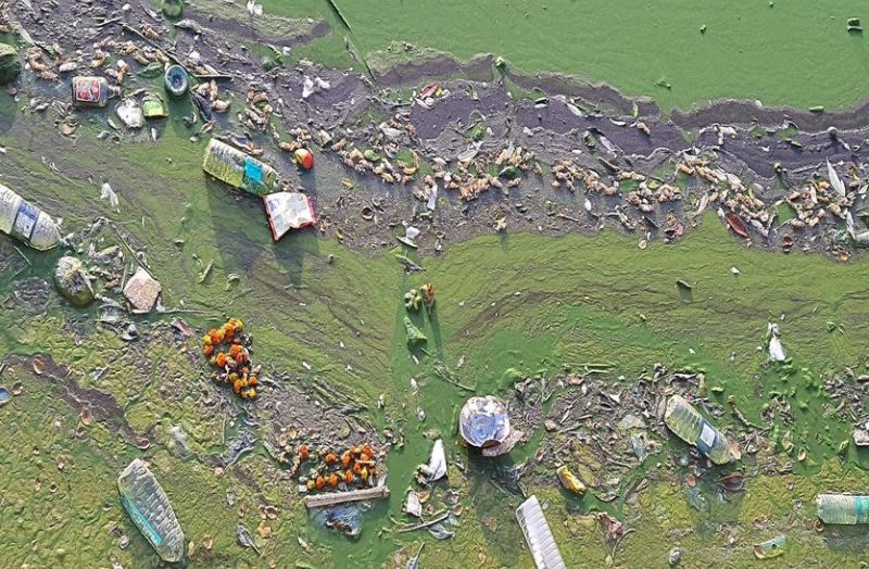 माउंट का सौंदर्य नक्की झील गंदगी से हुई बदरंग, पर्यटक मायूस