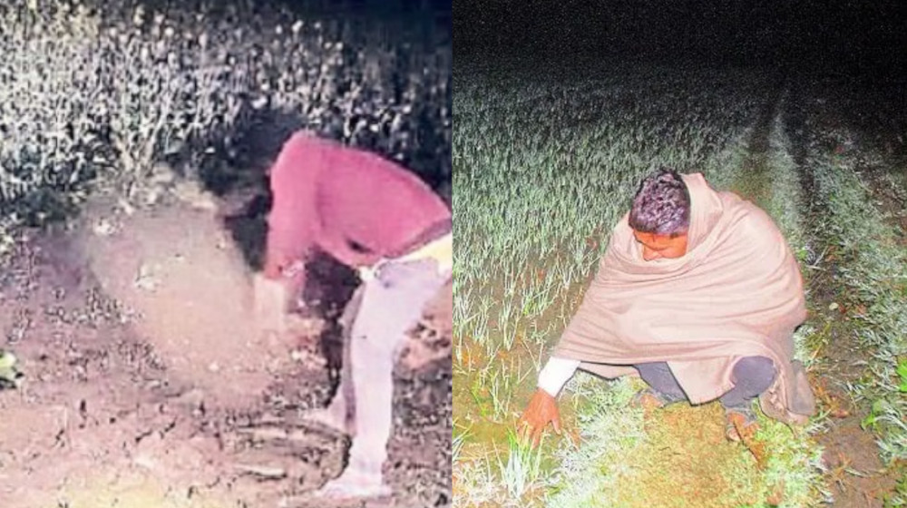 bharatpur_farmers.jpg