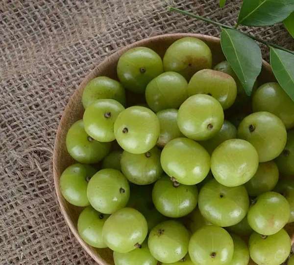 amla-for-skin.jpg