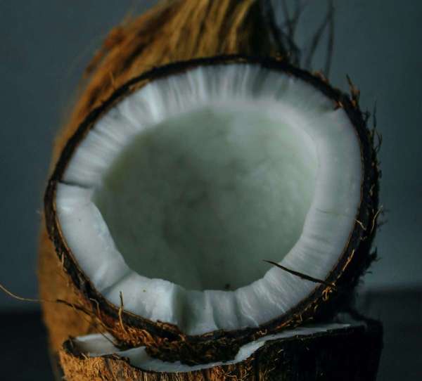 coconut.jpg