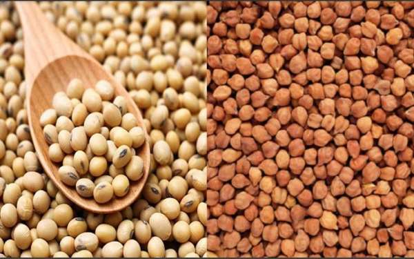 इन्हें सर्दियों के समय गेहूं में मिलाकर खाएं