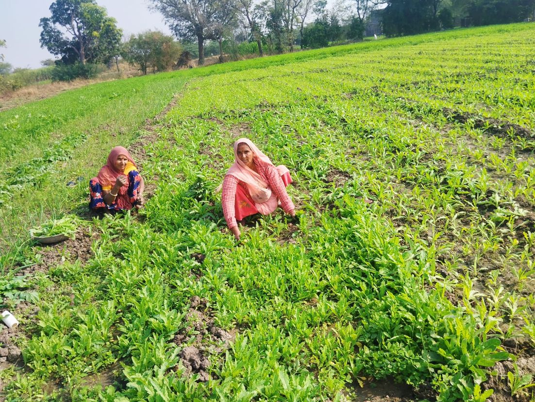 अब डिजिटल प्लेटफॉर्म पर अफीम उत्पादक किसान